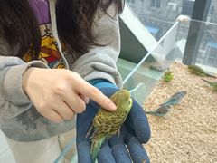 -怪兽屋·羊驼·猫咖·狗咖(俊华广场店)