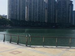 -西北湖绿化广场