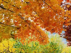 -元大都城垣遗址公园