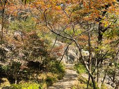 -崂山九水游览区