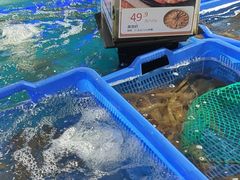 水产区-盒马鲜生(岭南新世界店)