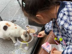 -一叶觅山(半边街店)
