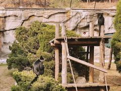 -大连森林动物园