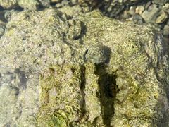 -三亚鹿回头高尔夫球会-停车场