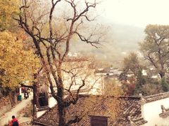 -塔川景区