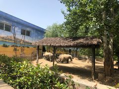 -西安秦岭野生动物园