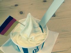 -JW德国冻酸奶Frozen Yogurt(龙湖成都滨江天街店)