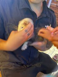 -Zoolung Zoolung动物主题公园(海信广场店)