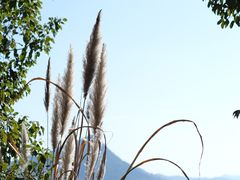 -青山湖景区