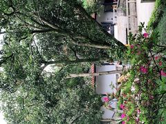 -泰乐道·SPA·按摩·足道(坡子街店)
