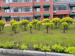 -辽宁大学(崇山校区)