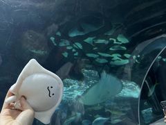 -长沙海底世界