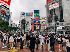 -涩谷全向十字路口