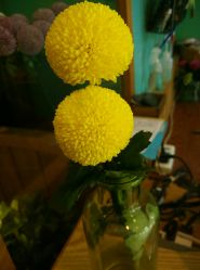 -原木·Top Design发型定制