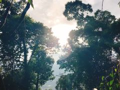 -七仙岭温泉国家森林公园