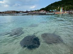 -海南分界洲岛旅游区