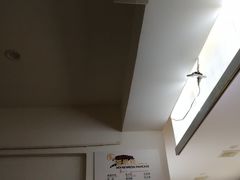 -贺记蛋烘糕(文庙西街店)