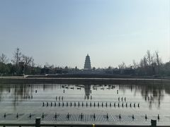 -大雁塔北广场音乐喷泉