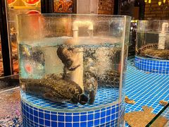 -老灶堂文创火锅(文艺路店)