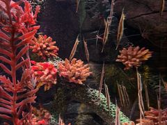 -沈阳海洋探索中心