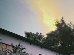 -自由生长植物工作室(深港花卉中心店)