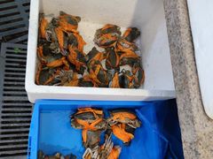 -杨记海鲜楼(三门黑金冠店)