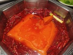 -蜀九香火锅(九眼桥店)
