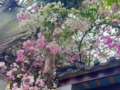 -深圳国际园林花卉博览园