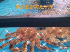 -麦德龙(郑东店)