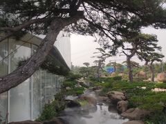 -罗红摄影艺术馆