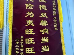 -美迦爱-牙专科·兔科·骨科诊疗中心(北苑店)