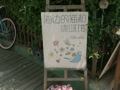 -海边的猫和咖啡馆