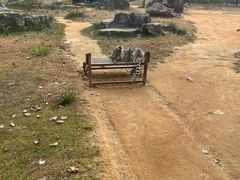 -秦皇岛野生动物园