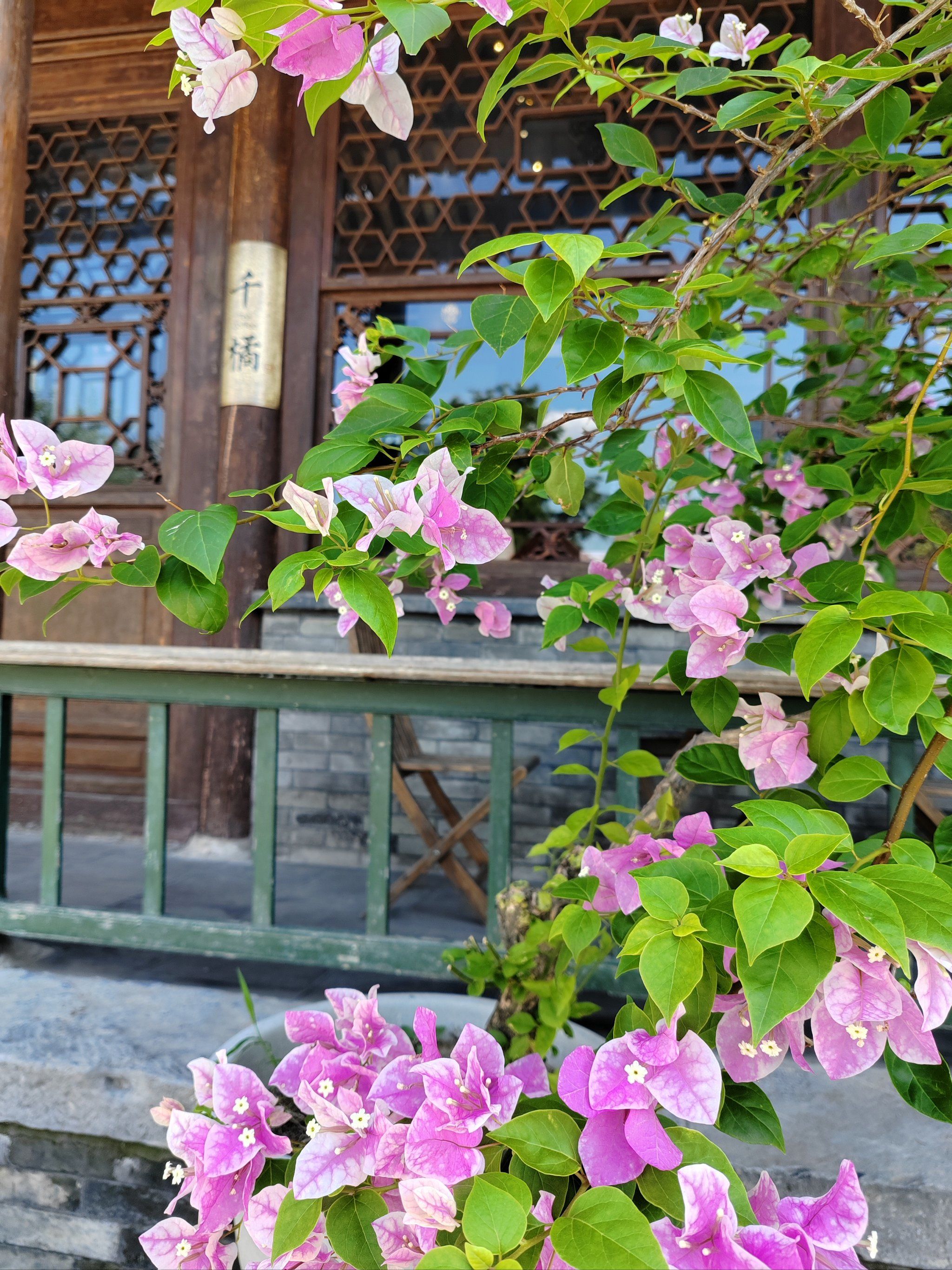 新中式风格,非常出片 环境舒适,是蔡氏祠堂改造的