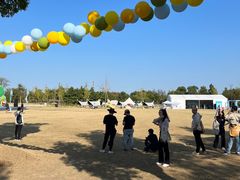 -上海长兴岛郊野公园