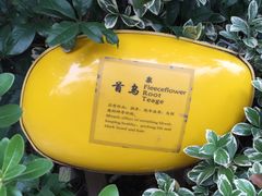 -张家港金凤凰度假村温泉