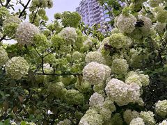 -大龙山(地铁站)