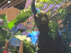-新安人家·22年本地餐厅