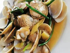 辣炒花甲螺-旺福林海鲜·川菜·海鲜加工(三亚湾椰梦长廊店)