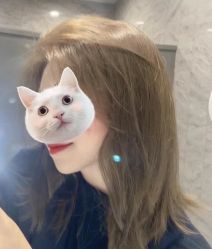 -潘多拉Hairsalon