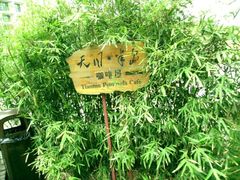 -天目湖涵田度假村