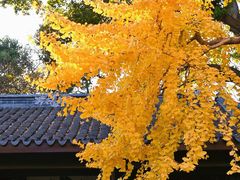 -无锡惠山寺