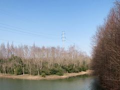 -上海海湾国家森林公园