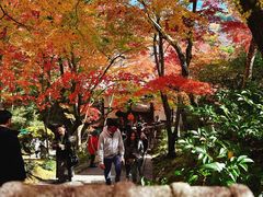 -常寂光寺