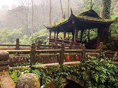 -青城山