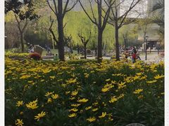 -苏州河梦清园环保主题公园