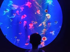 -成都浩海立方海洋公园