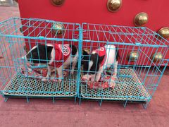 -塔湾兴顺国际观光夜市