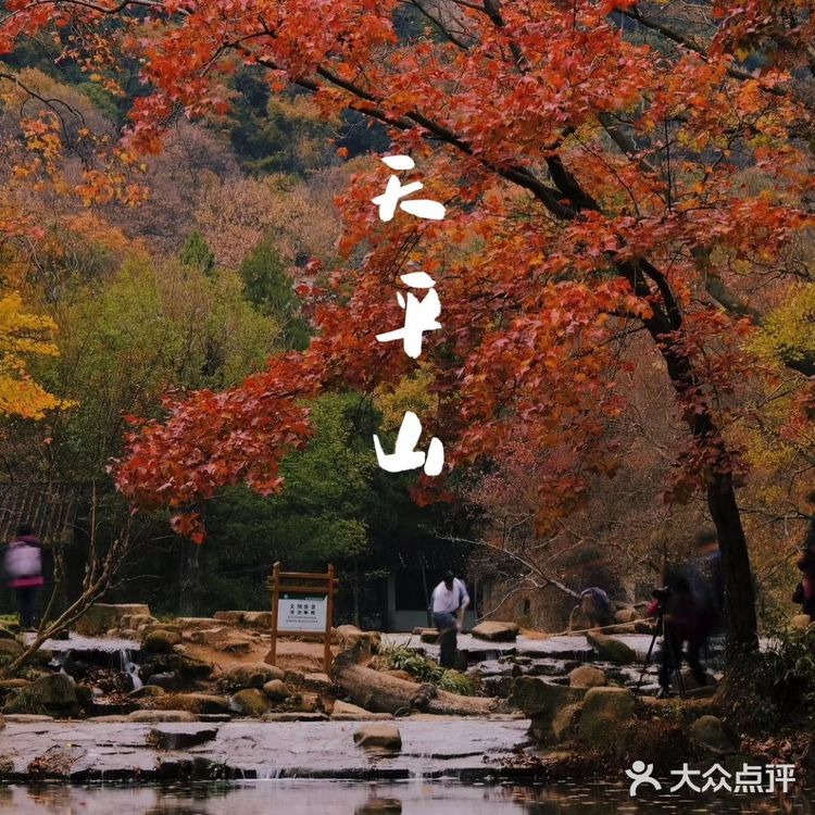 秋意浓 | 苏州天平山赏枫