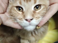 -全心全意连锁动物医院(加州店)